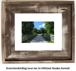 horseback riding near me in Mililani Mauka, Hawaii